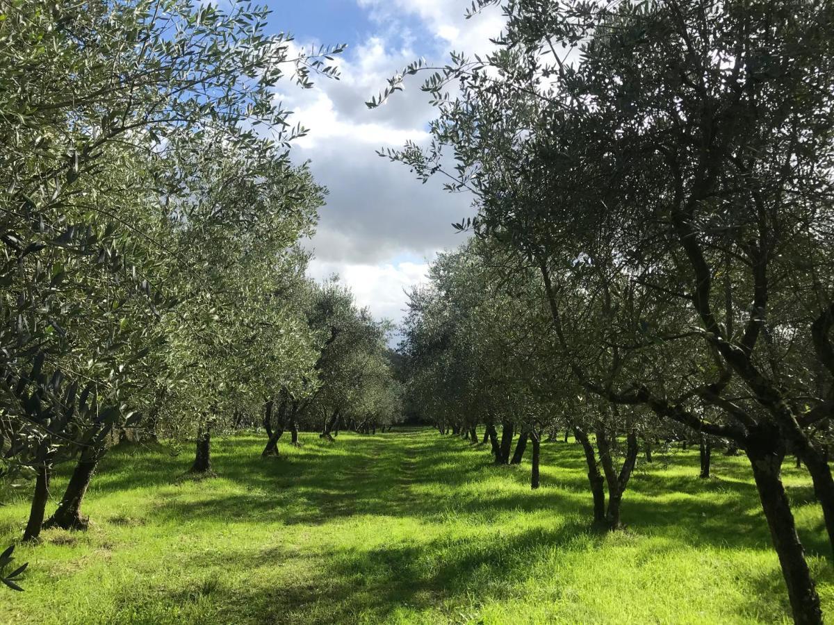 Agriturismo Podere I' Caldino Troghi Extérieur photo